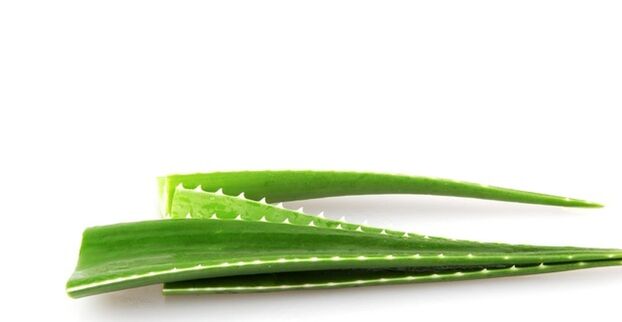 Exodermin contains aloe leaves