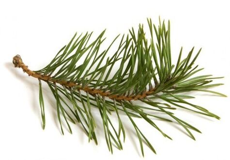 The Exodermin contains a pine needle extractor