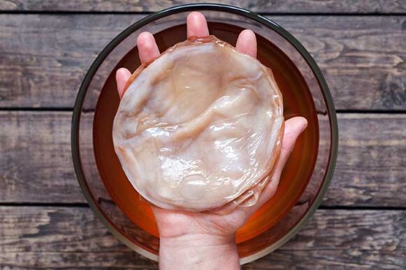 Tea mushroom